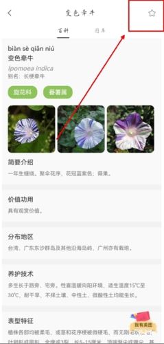 花伴侣识花
