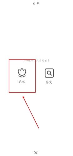 花伴侣识花