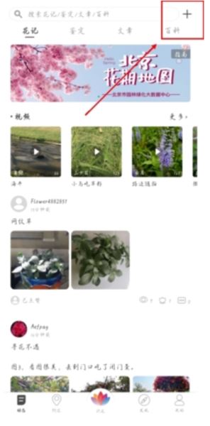 花伴侣识花