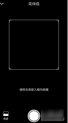 花伴侣识花
