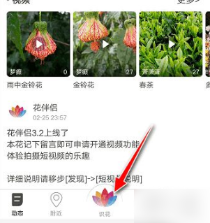 花伴侣识花