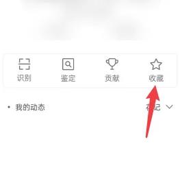 花伴侣专业版