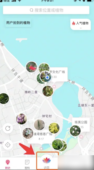 花伴侣专业版