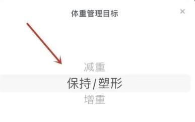 薄荷健康减肥