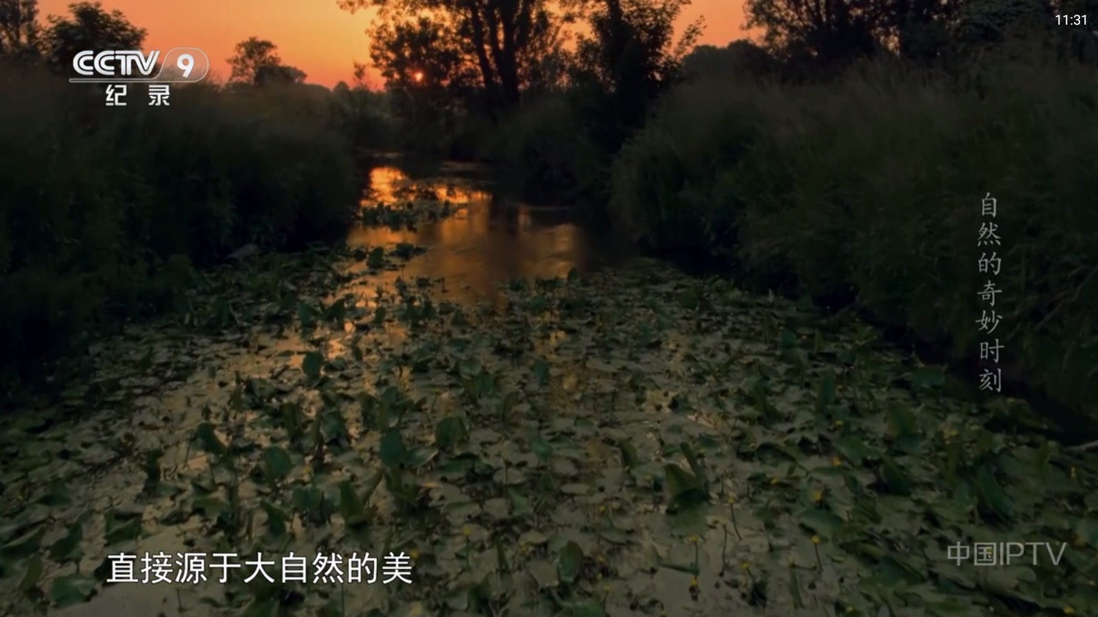 云享直播