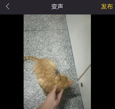 清爽视频编辑