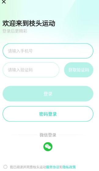 枝头运动