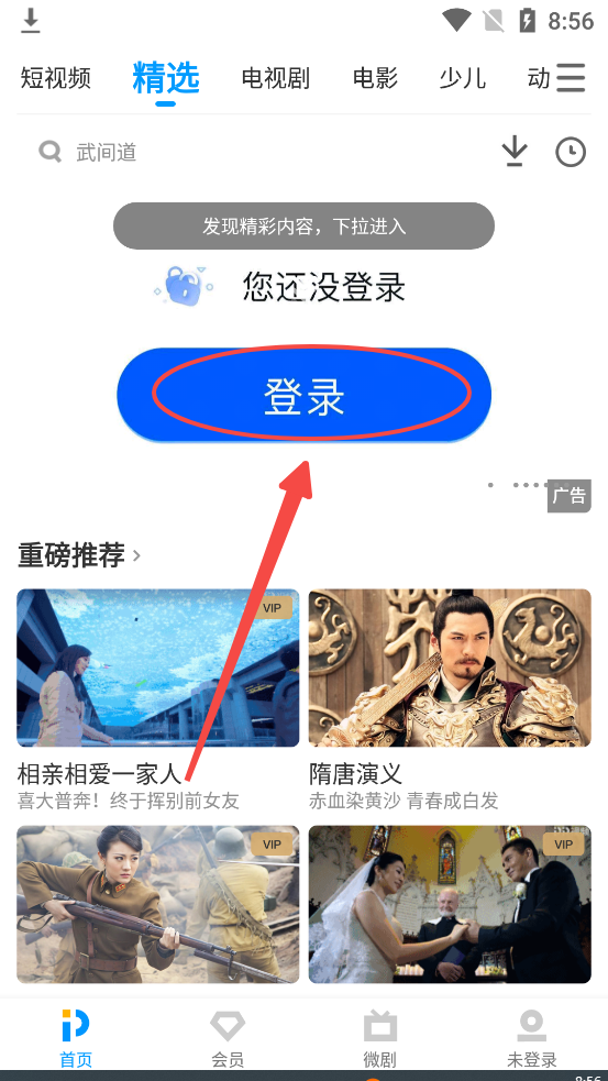 PP视频播放