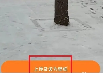 皮皮桌面壁纸
