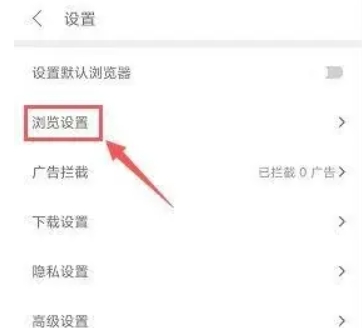 Pure浏览器pro版