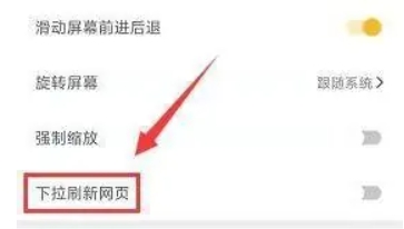 Pure浏览器pro版