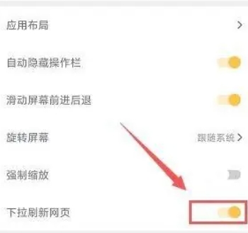 Pure浏览器pro版