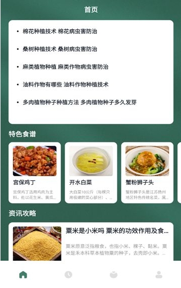 慢吞吞轻断食