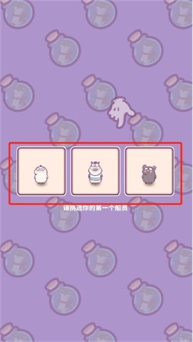 动物游轮