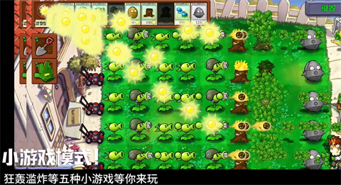 植物大战僵尸自然群系版