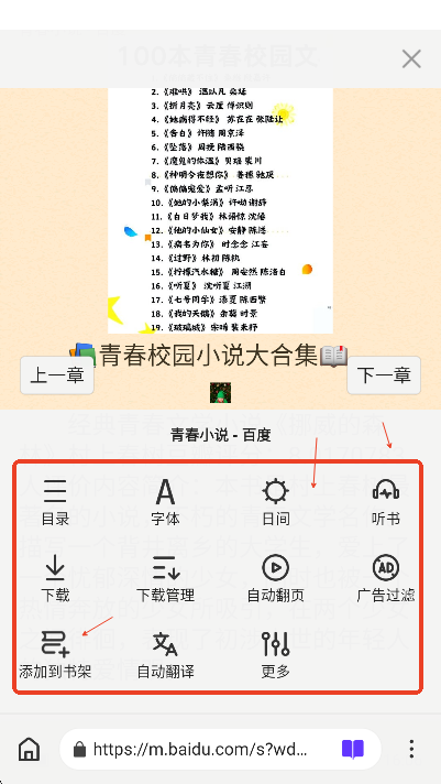 石头阅读浏览器