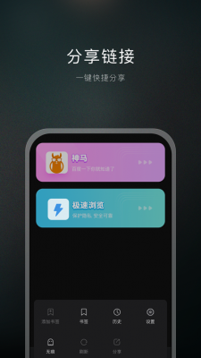 双子星浏览器专业版