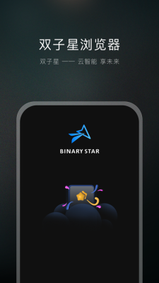 双子星浏览器专业版