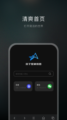 双子星浏览器专业版