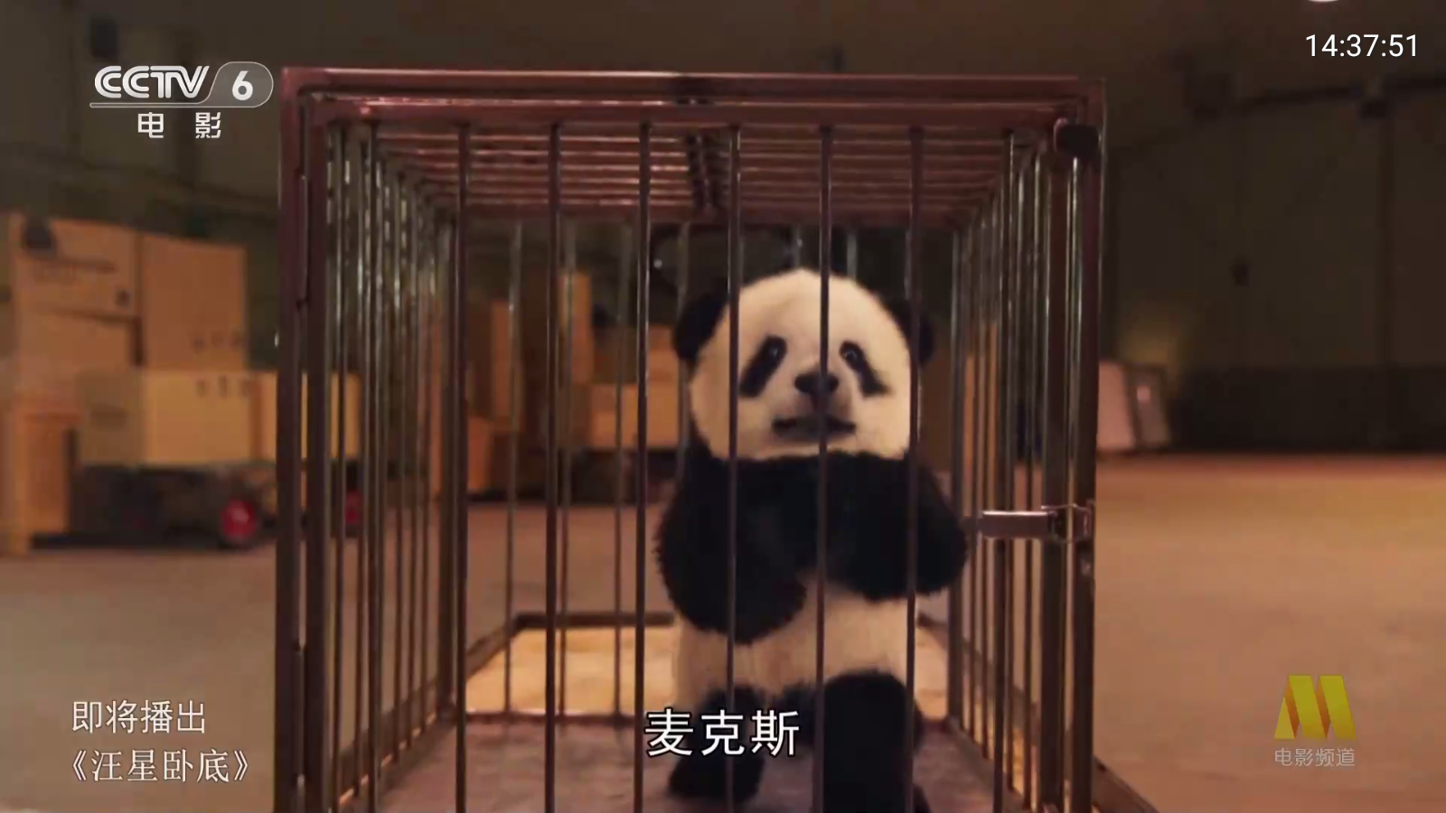 球迷直播
