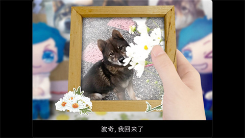 翌日波奇狗的历险记