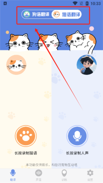 小白交流翻譯