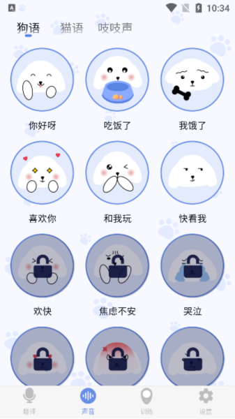 小白交流翻譯