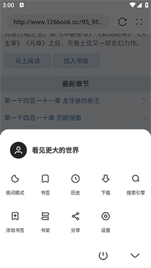 KK浏览器