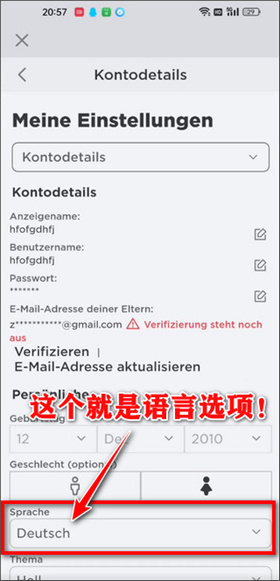 罗布乐思越南版