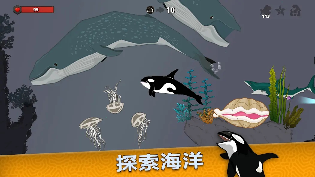 皇家鱼手机版