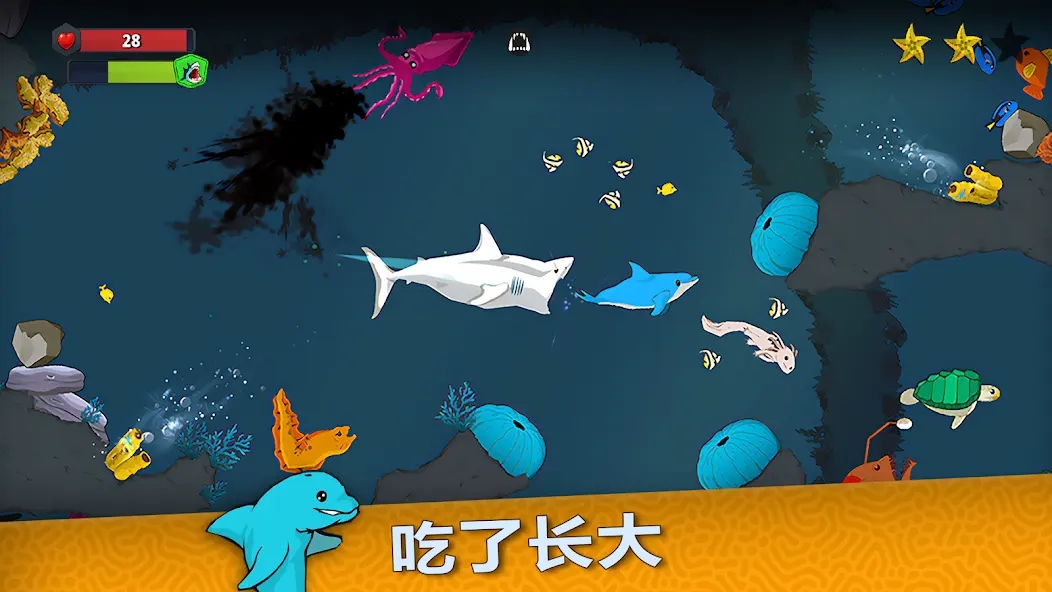 皇家鱼手机版