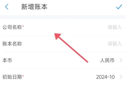 账王记账