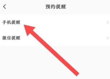 闪电龟升级版