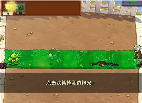 植物大战僵尸WENHUA
