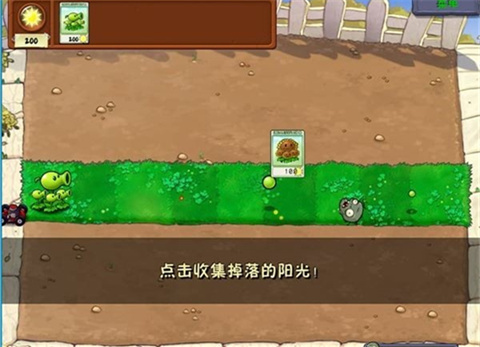 植物大战僵尸WENHUA