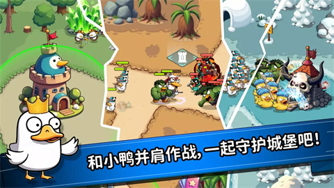 什么鴨