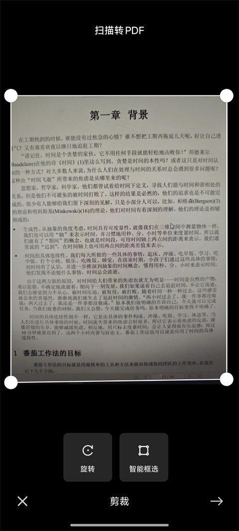 AI扫描
