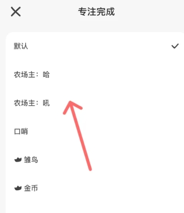 小鸡专注免费版