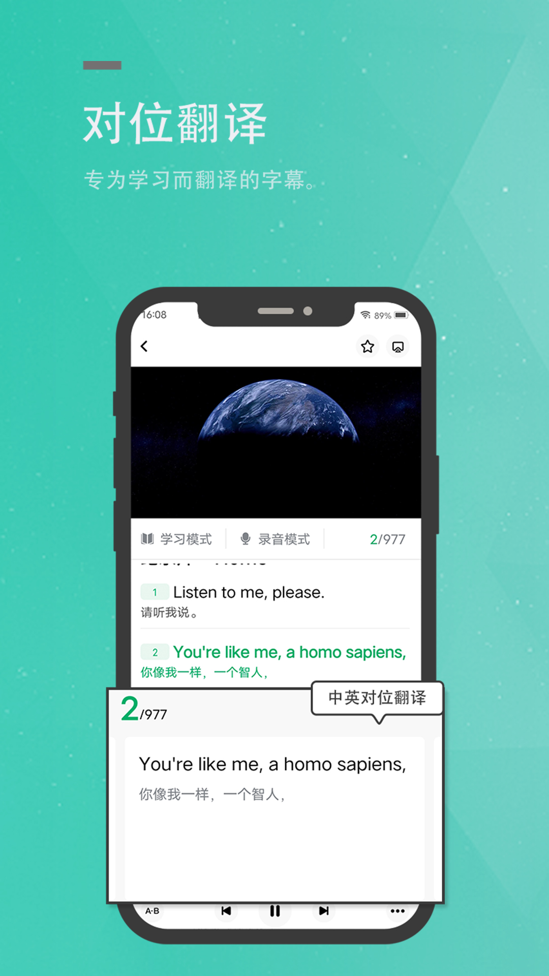 粽子英语单词