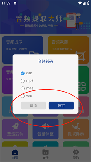 音频提取大师