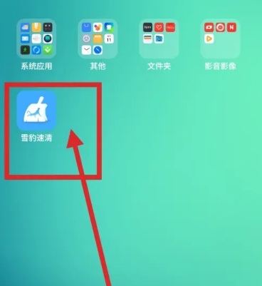 雪豹速清大师