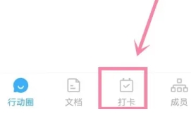 小行动计划