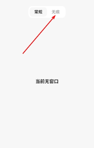 闪速浏览器