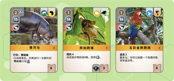 方舟动物园