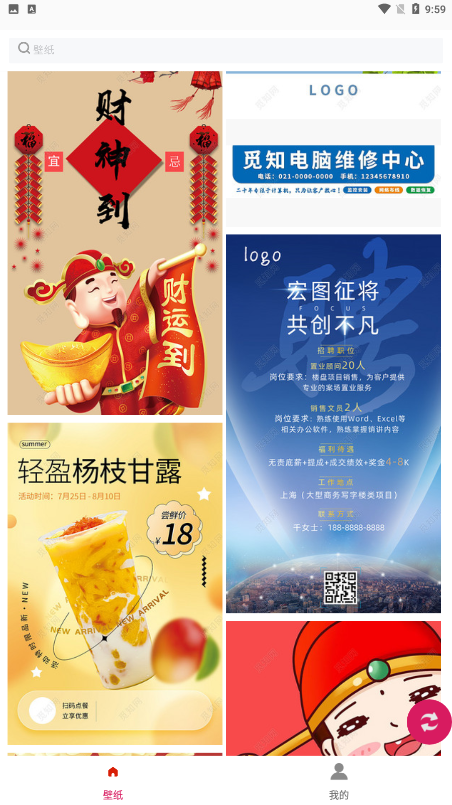 白鸽壁纸