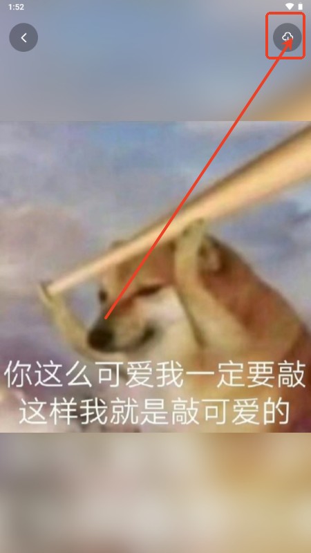 表情文案狗