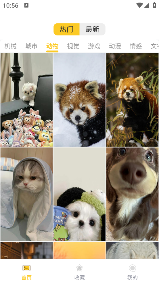 炫动次元壁纸