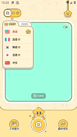 拍拍单词免费版