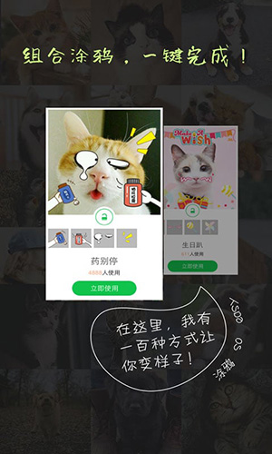 萌宠相机