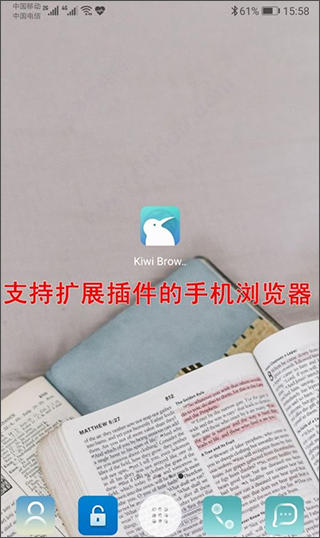 kiwibrowser浏览器